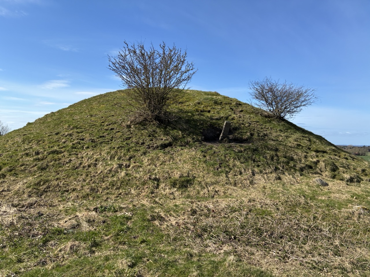 Gro%C3%9F%20%28IMG_1300%29